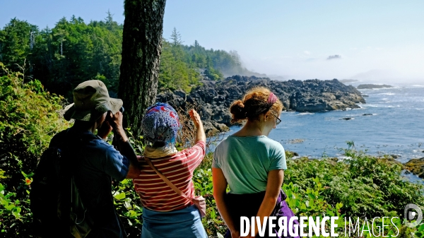 Le parc national du Pacific Rim sur l  île de Vancouver