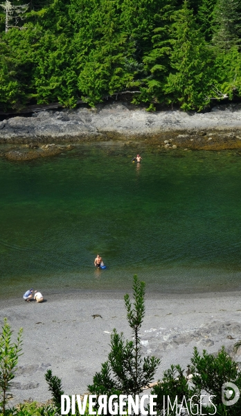 Le parc national du Pacific Rim sur l  île de Vancouver