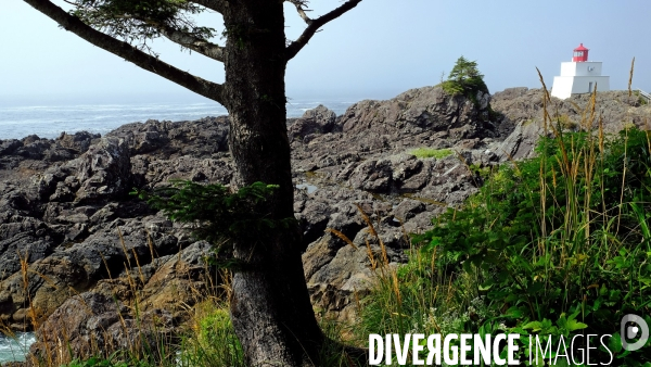 Le parc national du Pacific Rim sur l  île de Vancouver