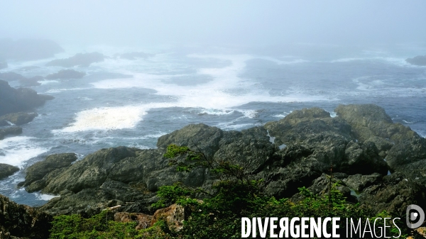 Le parc national du Pacific Rim sur l  île de Vancouver