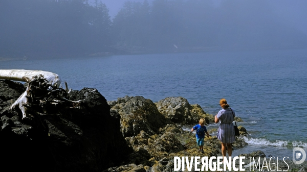 Le parc national du Pacific Rim sur l  île de Vancouver