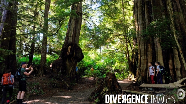 Le parc national du Pacific Rim sur l  île de Vancouver