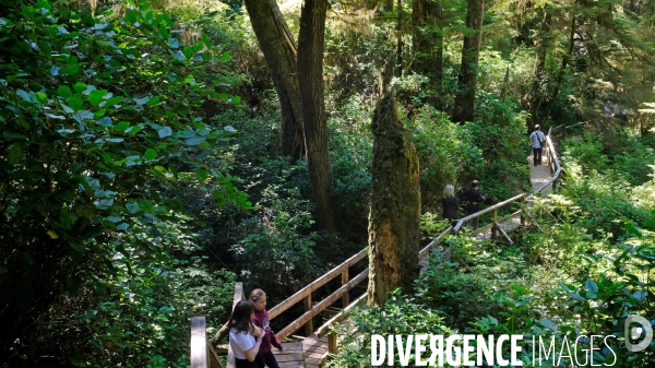 Le parc national du Pacific Rim sur l  île de Vancouver