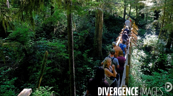 Le parc national du Pacific Rim sur l  île de Vancouver