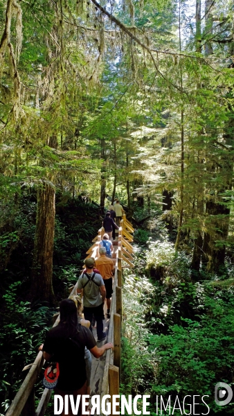 Le parc national du Pacific Rim sur l  île de Vancouver
