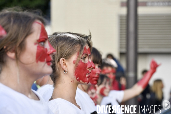 Greve mondiale pour le climat, étudiants et scolaires. Climate justice. Global strike for the climate with youth