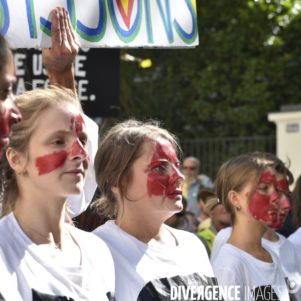 Greve mondiale pour le climat, étudiants et scolaires. Climate justice. Global strike for the climate with youth