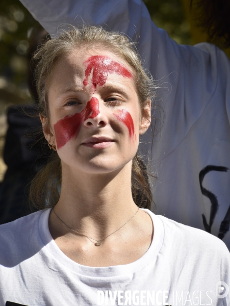 Greve mondiale pour le climat, étudiants et scolaires. Climate justice. Global strike for the climate with youth