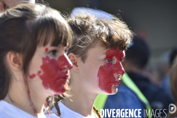 Greve mondiale pour le climat, étudiants et scolaires. Climate justice. Global strike for the climate with youth