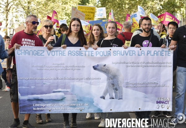 Greve mondiale pour le climat, étudiants et scolaires. Climate justice. Global strike for the climate with youth