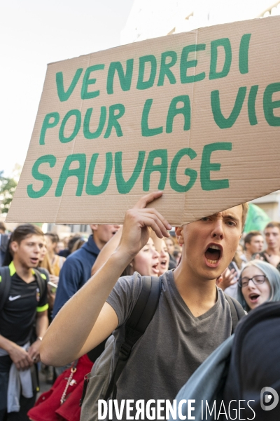 Grève et manif pour le climat