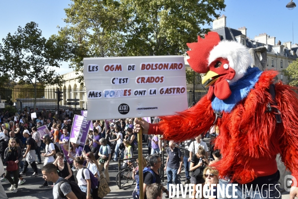 Marche pour le climat 2019, à Paris. Walk for the climate.