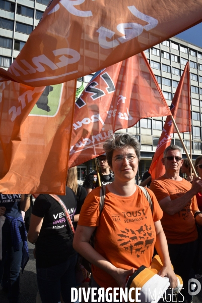 Marche pour le climat 2019, à Paris. Walk for the climate.