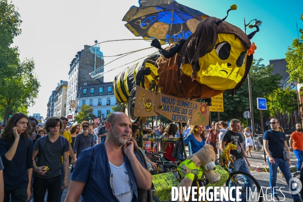 Manifestation pour le climat pertubée par les black blocks et les gilets jaunes