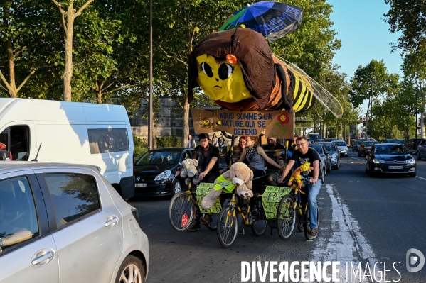 Manifestation pour le climat pertubée par les black blocks et les gilets jaunes