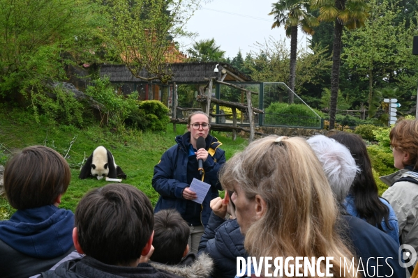 Zoo parc de Beauval