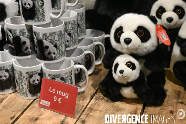 Peluche panda - La Boutique du ZooParc de Beauval