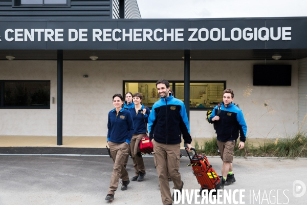 Le service vétérinaire du zoo parc de Beauval