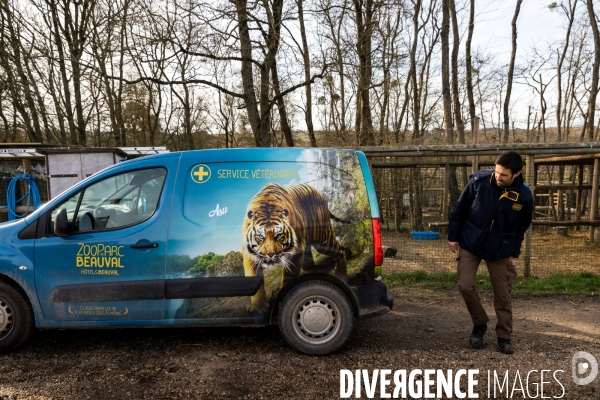 Le service vétérinaire du zoo parc de Beauval