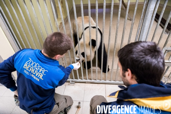 Le service vétérinaire du zoo parc de Beauval