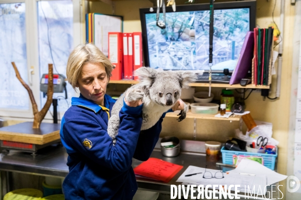 Le service vétérinaire du zoo parc de Beauval