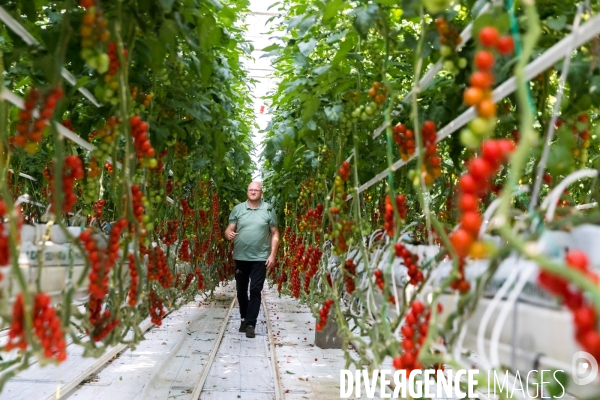 BIGH, la ferme aquaponique des abattoirs d Anderlecht