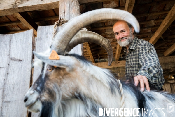 La ferme collective et pédagogique de Larock