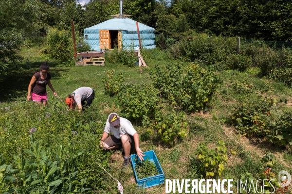 La ferme collective et pédagogique de Larock