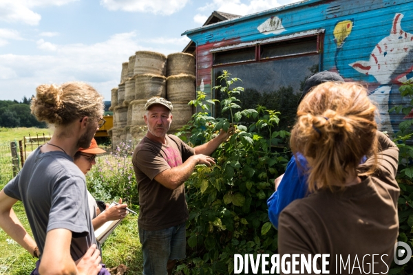 La ferme collective et pédagogique de Larock