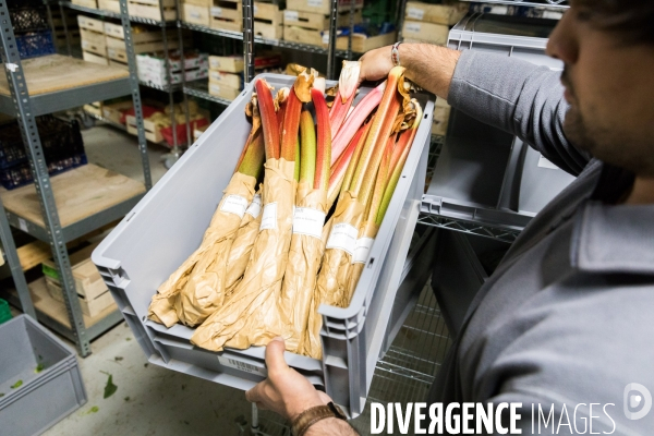 Service de livraison à domicile