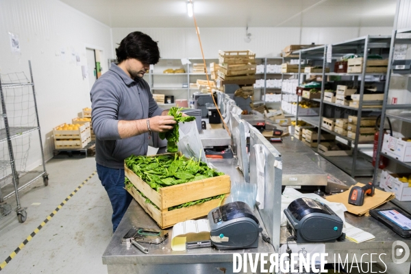 Service de livraison à domicile