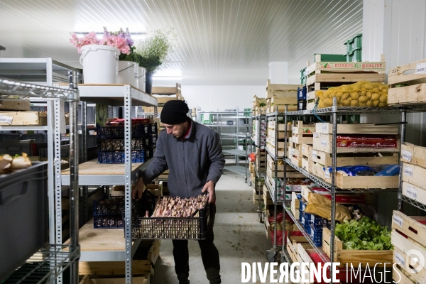 Service de livraison à domicile