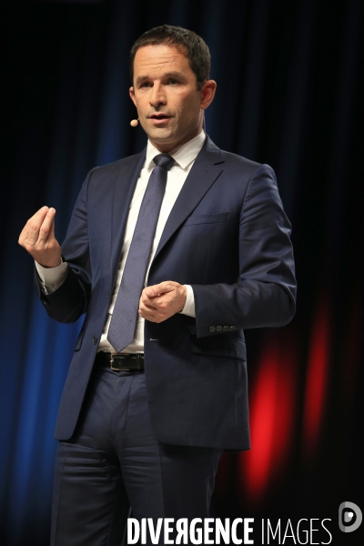Meeting Benoit Hamon Toulouse