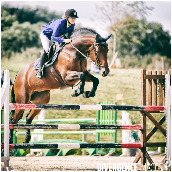 Concours hippique