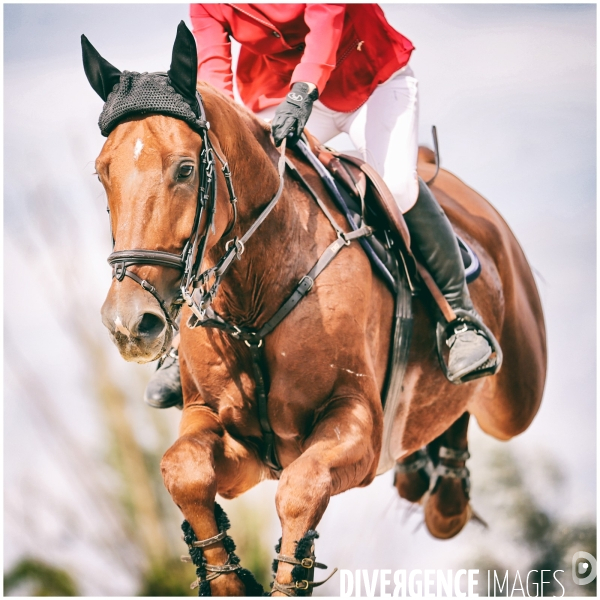 Concours hippique