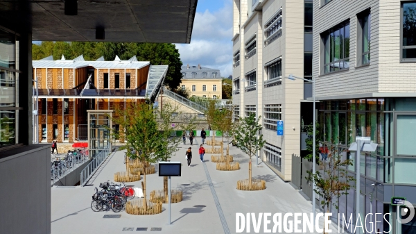 Le siége de Nature et Découvertes dans le nouveau quartier de la gare Versailles Chantiers