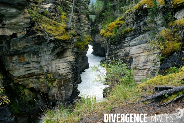 Glaciers, chutes, fleuves et lacs dans les Rocheuses canadiennes