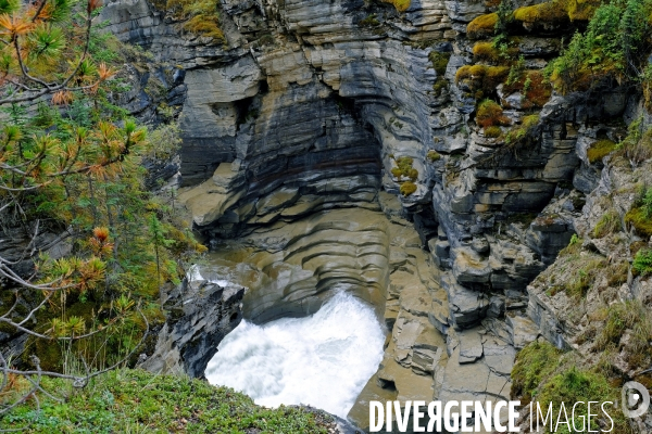 Glaciers, chutes, fleuves et lacs dans les Rocheuses canadiennes