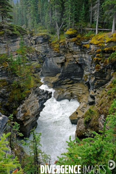 Glaciers, chutes, fleuves et lacs dans les Rocheuses canadiennes