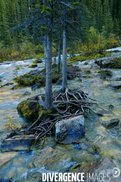 Glaciers, chutes, fleuves et lacs dans les Rocheuses canadiennes