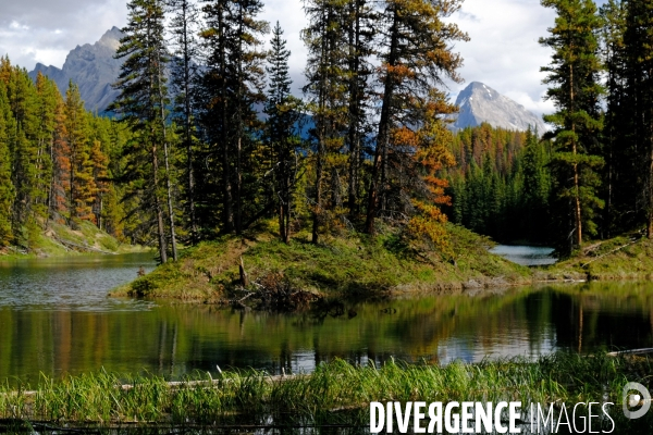 Glaciers, chutes, fleuves et lacs dans les Rocheuses canadiennes