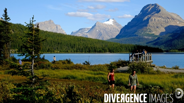 Glaciers, chutes, fleuves et lacs dans les Rocheuses canadiennes