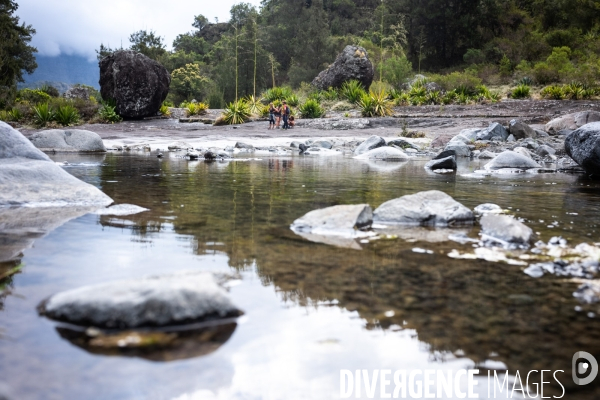 Illustration Ile de La Reunion