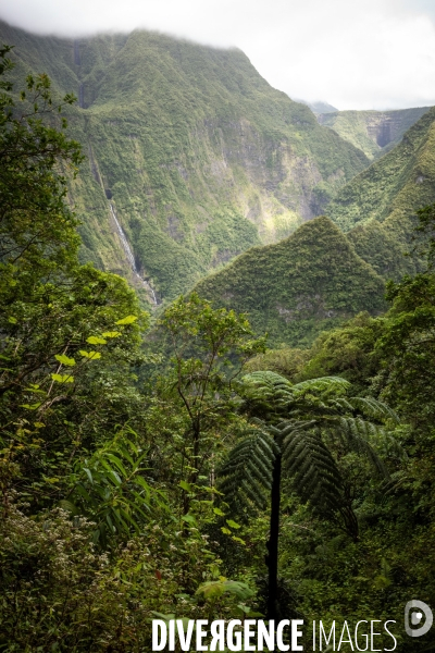 Illustration Ile de La Reunion