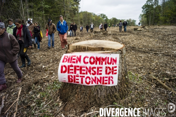 Lutte contre la réalisation d une déviation et d un pont sur la Loire.