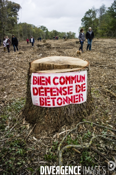 Lutte contre la réalisation d une déviation et d un pont sur la Loire.