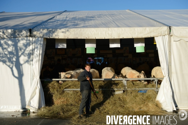 Fête du Charolais