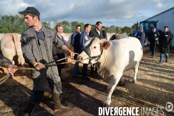 Fête du Charolais