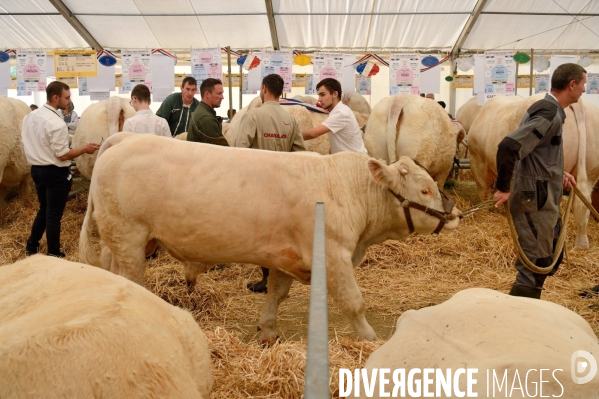 Fête du Charolais