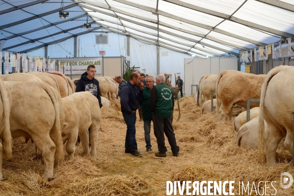 Fête du Charolais